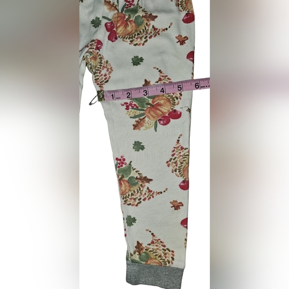 Burt's Bees Kids Boy Girl Thanksgiving Celebration Organic 2pc PJ Set Sz 4T - Picture 13 of 16